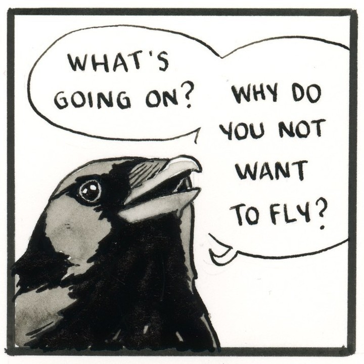 Seeing things in a...