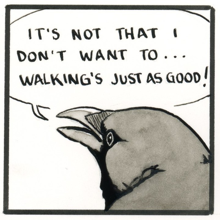Seeing things in a...