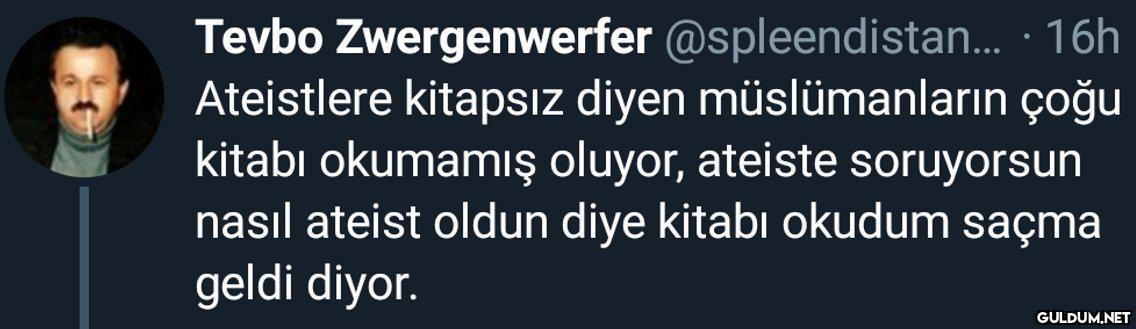 Tevbo Zwergenwerfer...