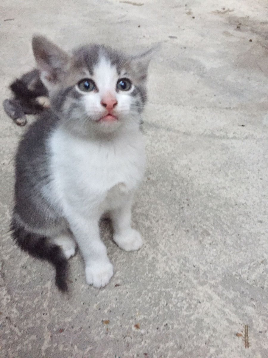 Bu bebeğe yuva...