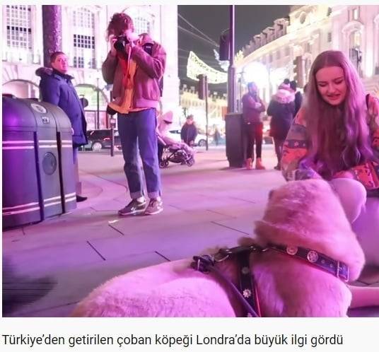 Bir hayalim var......  Kaynak