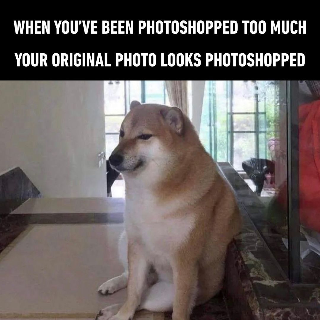 doge sad⠀ 🐶: @balltze⠀ -⠀...
