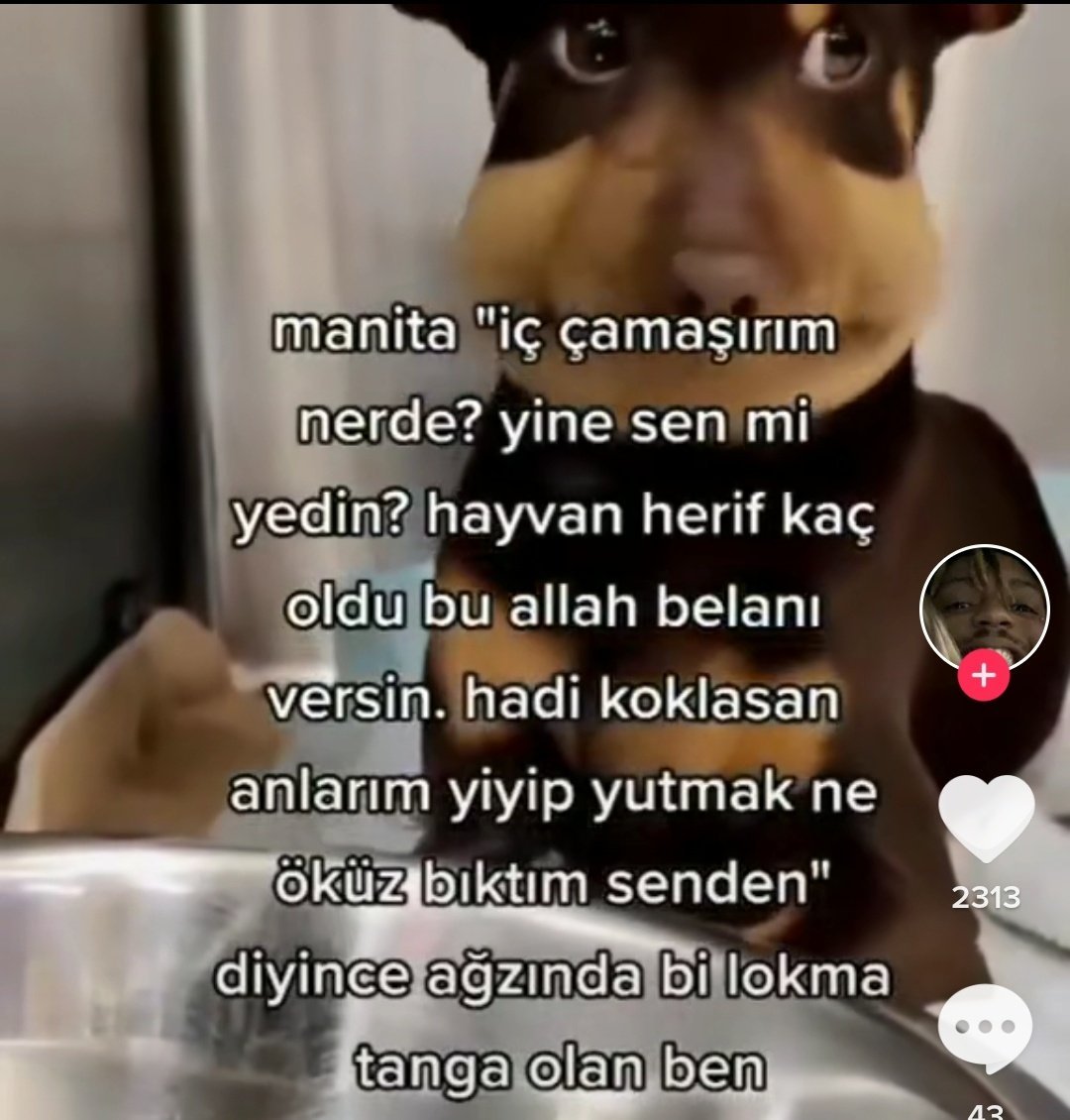 manita "iç çamaşırım...