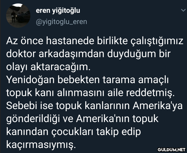eren yiğitoğlu...