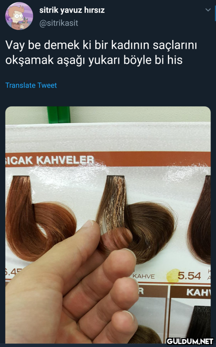 sitrik yavuz hırsız...