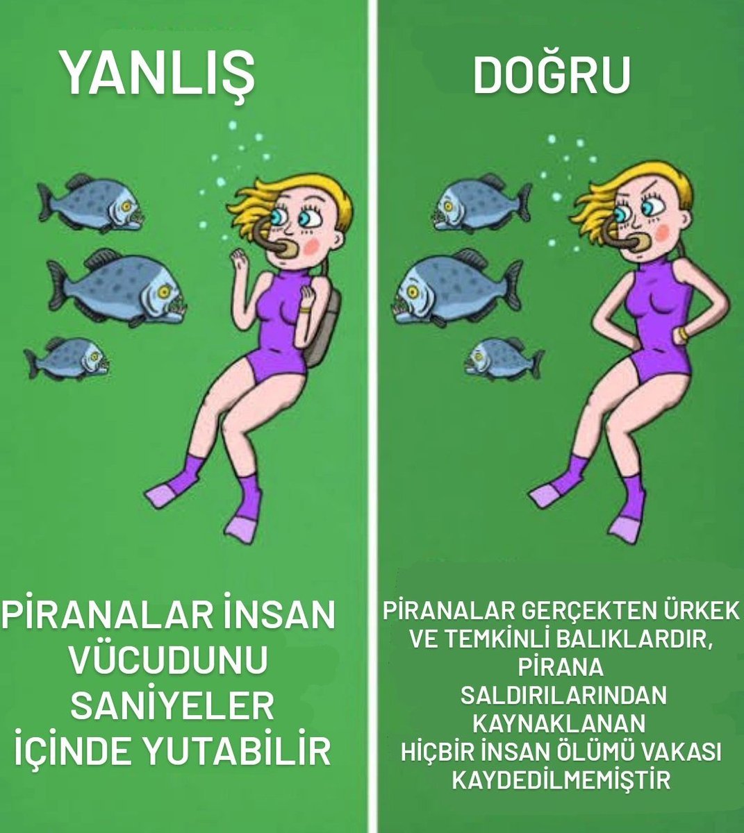Kaynak