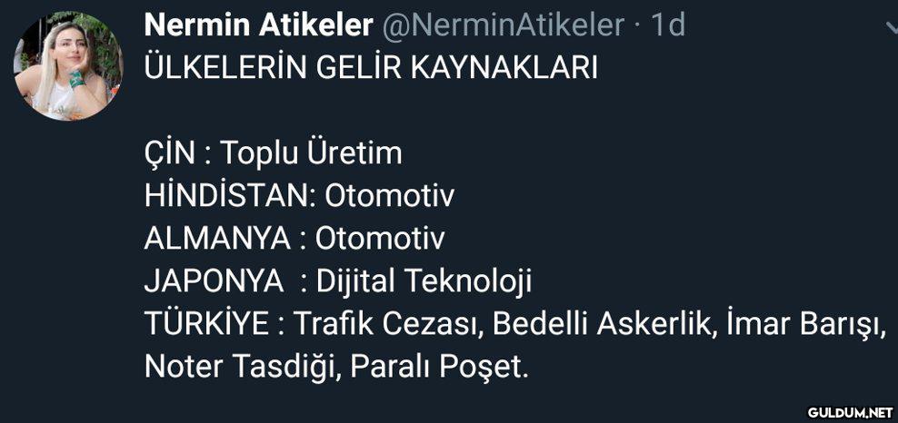 Nermin Atikeler...