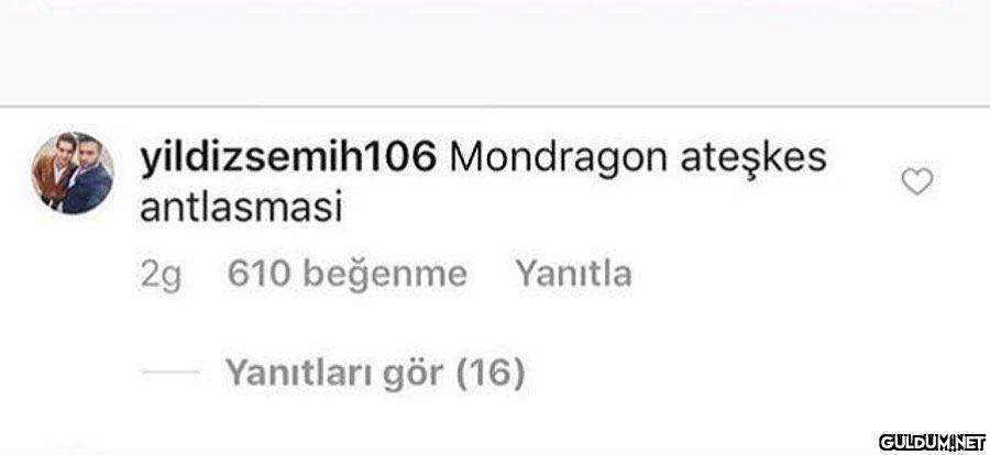 HAHGSGDHSHAH   ...