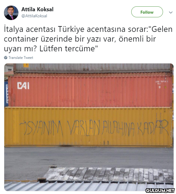 Attila Koksal Follow...