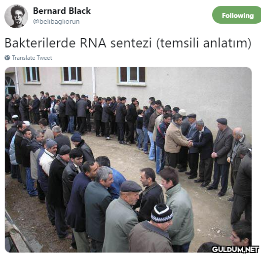 Bernard Black Following...