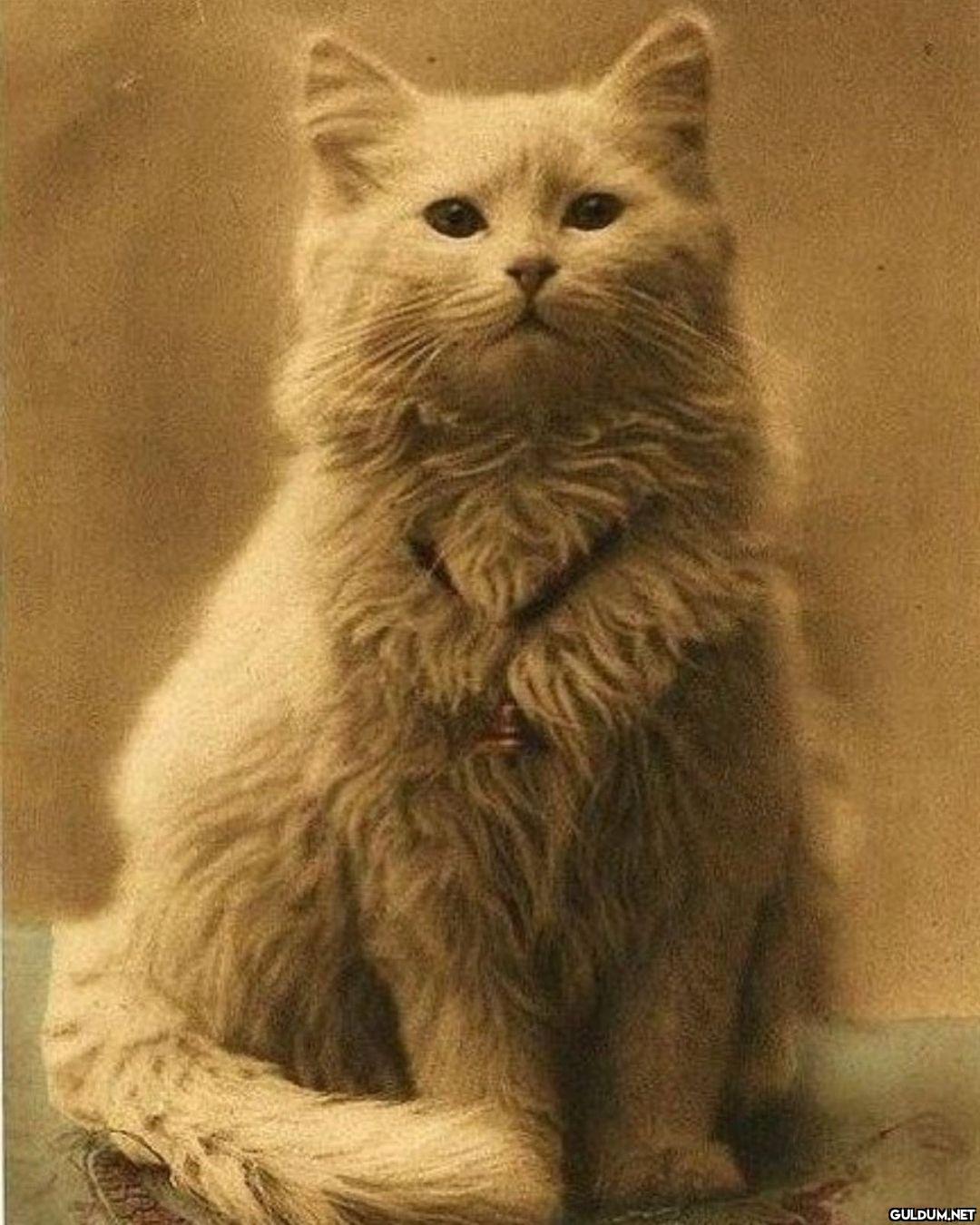 Bu fotoğraf 1880 yılında...