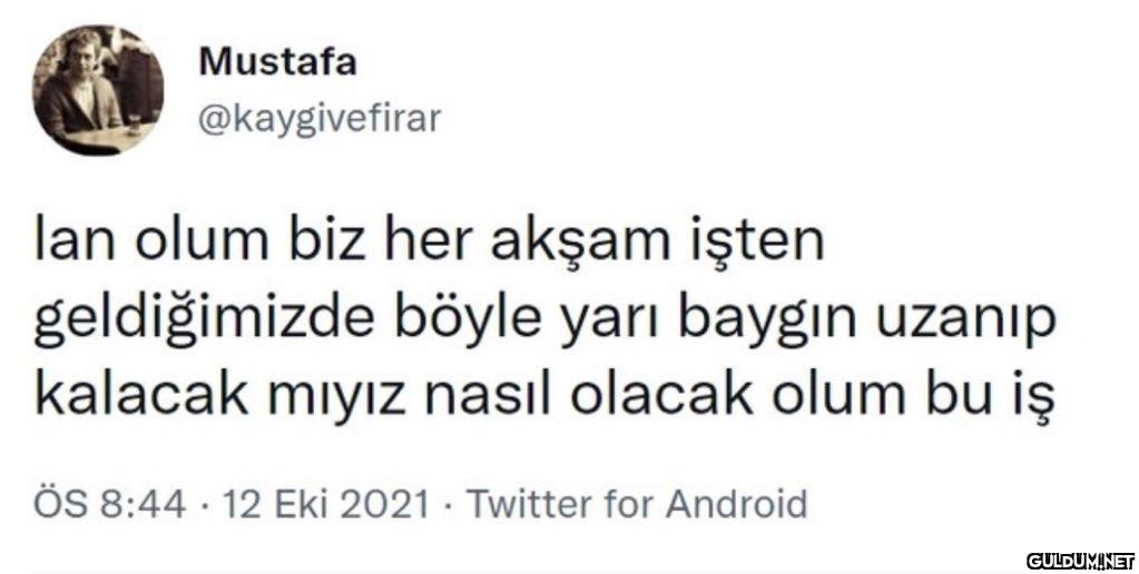Mustafa @kaygivefirar lan...