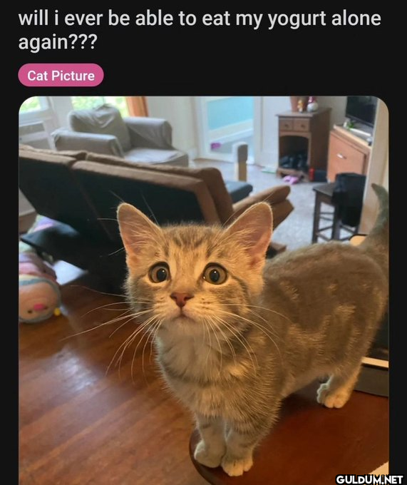 Popular post