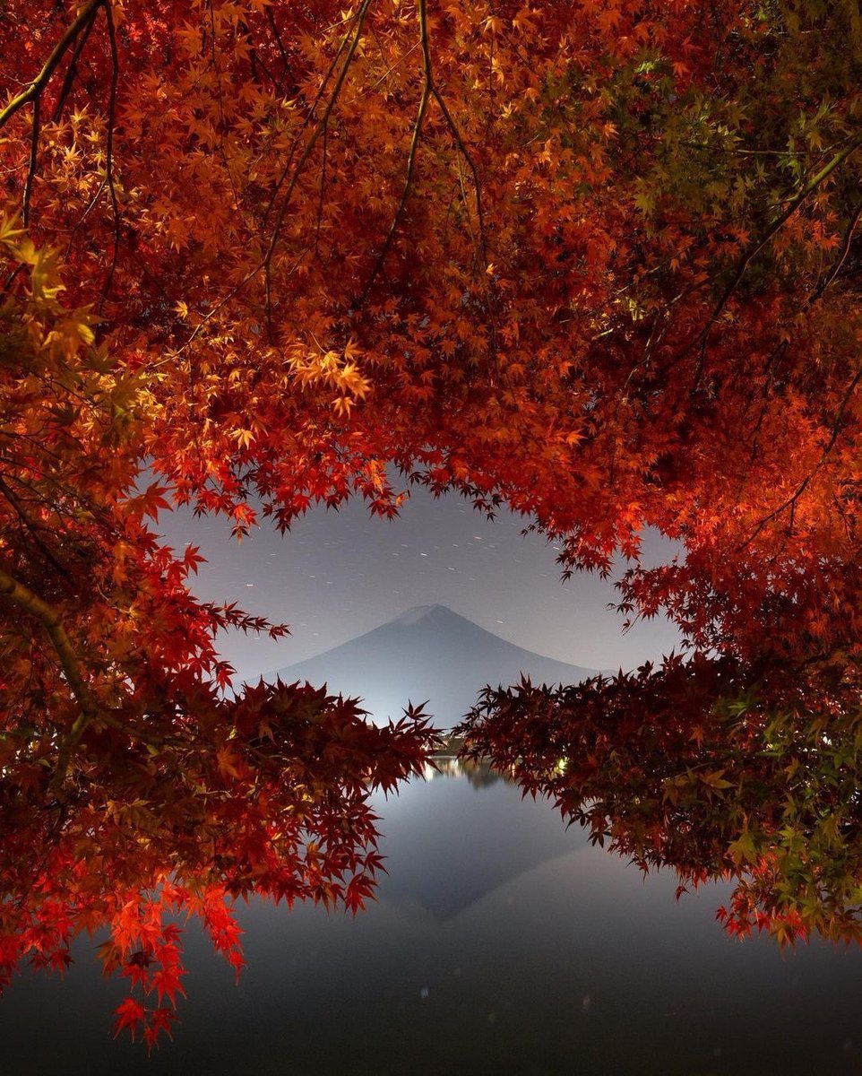 Japonya'daki sonbahar...