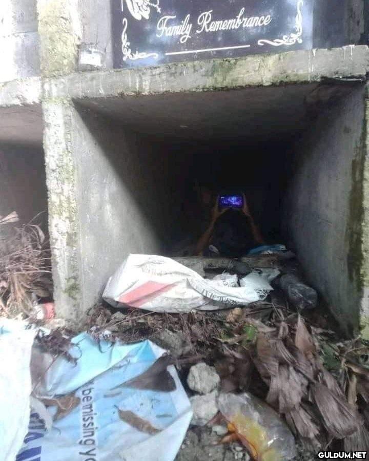 anlamsız fotoğraflar 9539 ...
