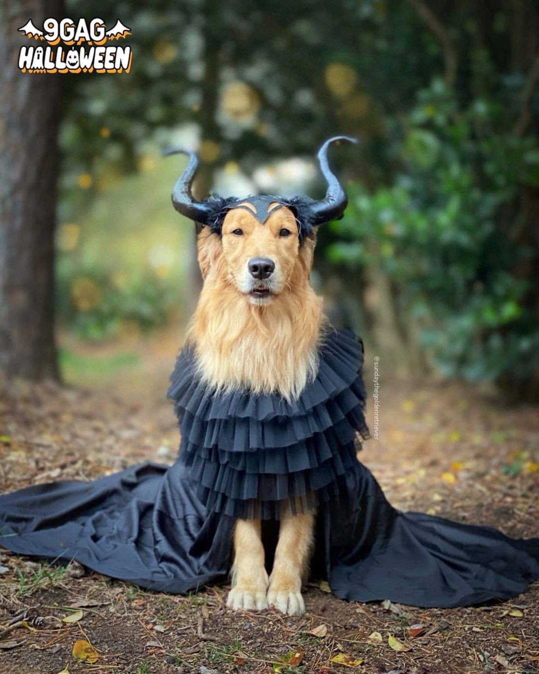 😈Are you peasants ready...