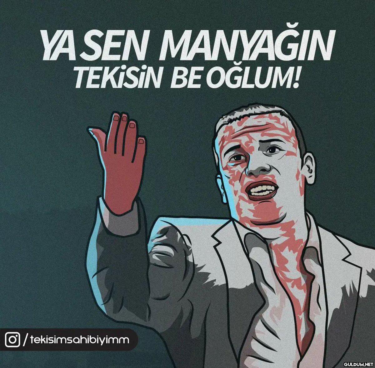YA SEN MANYAĞIN TEKİSİN BE...
