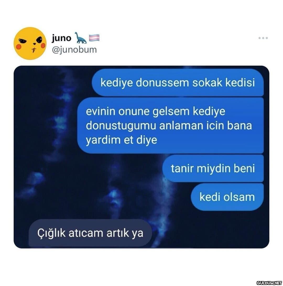 Günaydınnn  juno E...