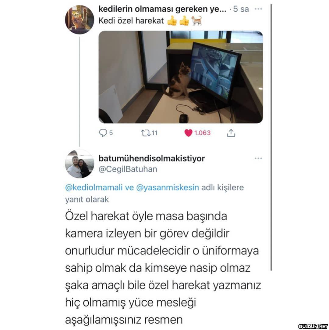 E yuh ama  kedilerin...