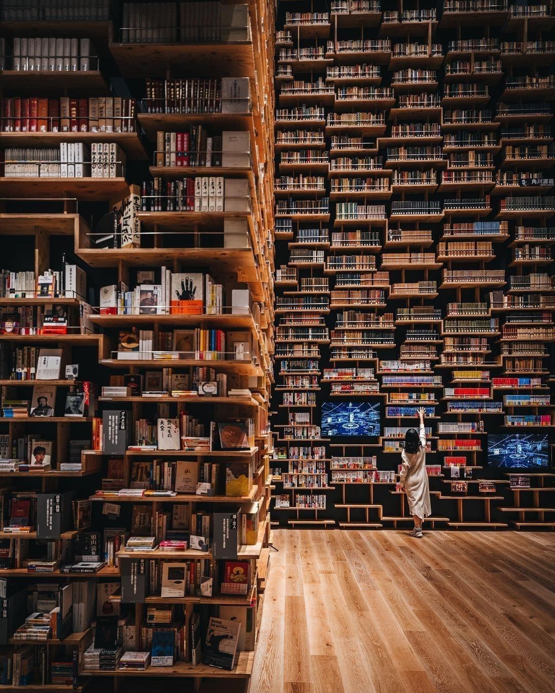 A book lover's haven 📚...