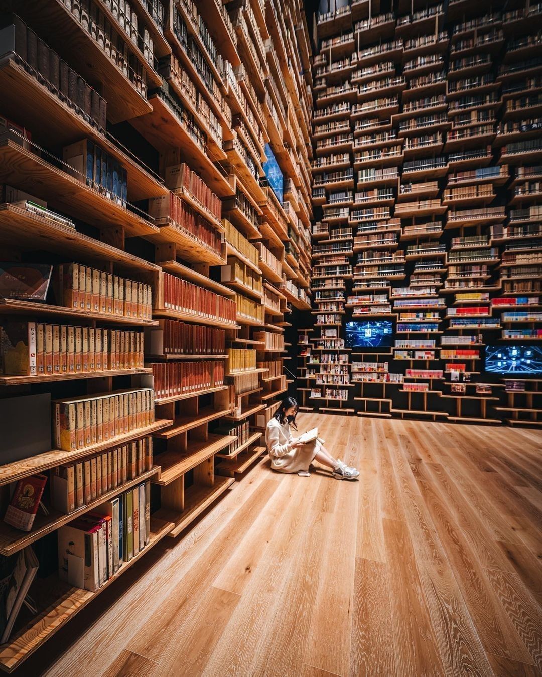 A book lover's haven 📚...