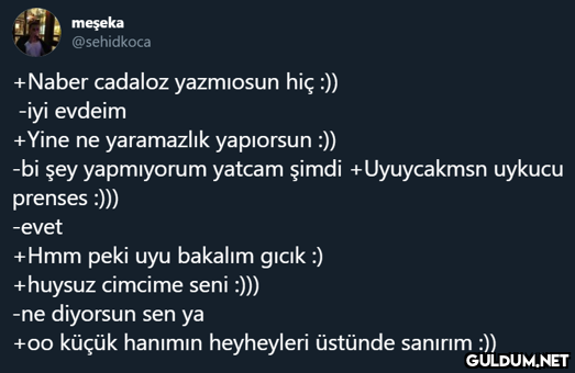 meşeka @sehidkoca +Naber...