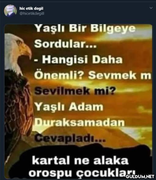 Kaynak