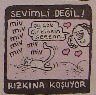 Sevimli değil!. 
miv..miv...