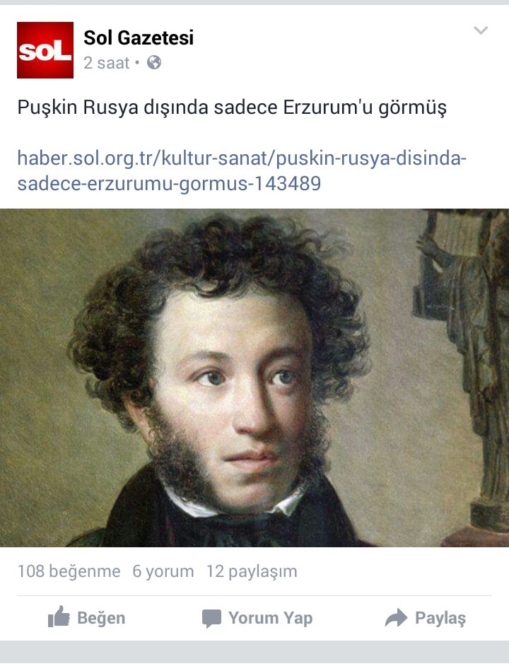 Sol gazetesi 
Puşkin Rusya...