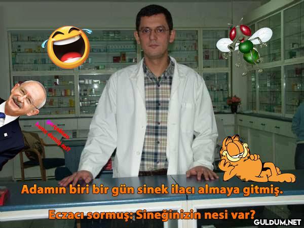 Adamın biri bir gün sinek...