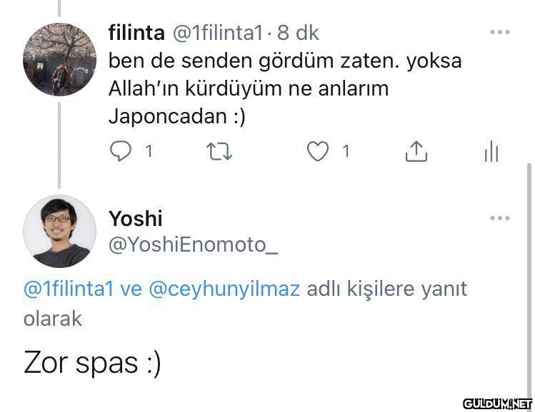 Sfjsjahjajaja    Ceyhun...