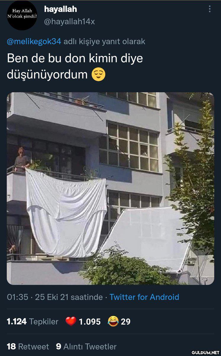 #şıhmeloş @melikegok34 · 3...