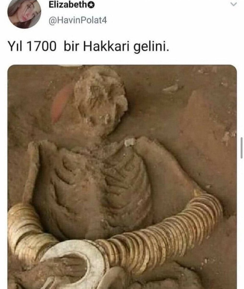 Elizabetho @HavinPolat4...