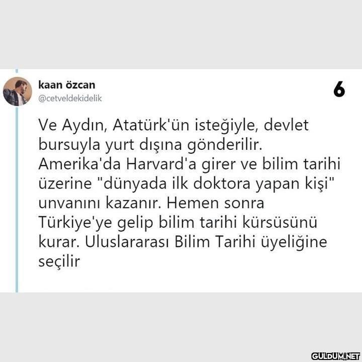 Ordinaryüs Profesör...
