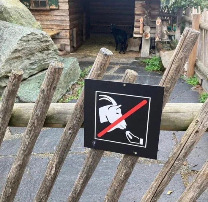 Do not speak Italian to...