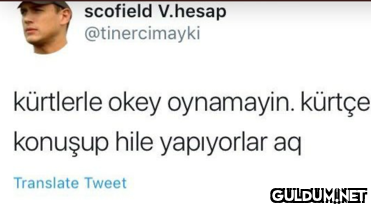 scofield V.hesap...