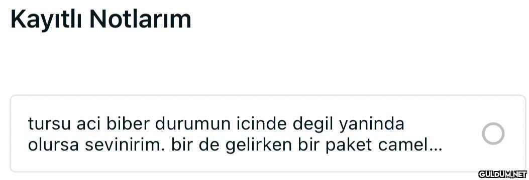 Kayıtlı Notlarım tursu aci...