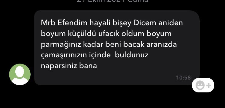 Mrb Efendim hayali bişey...