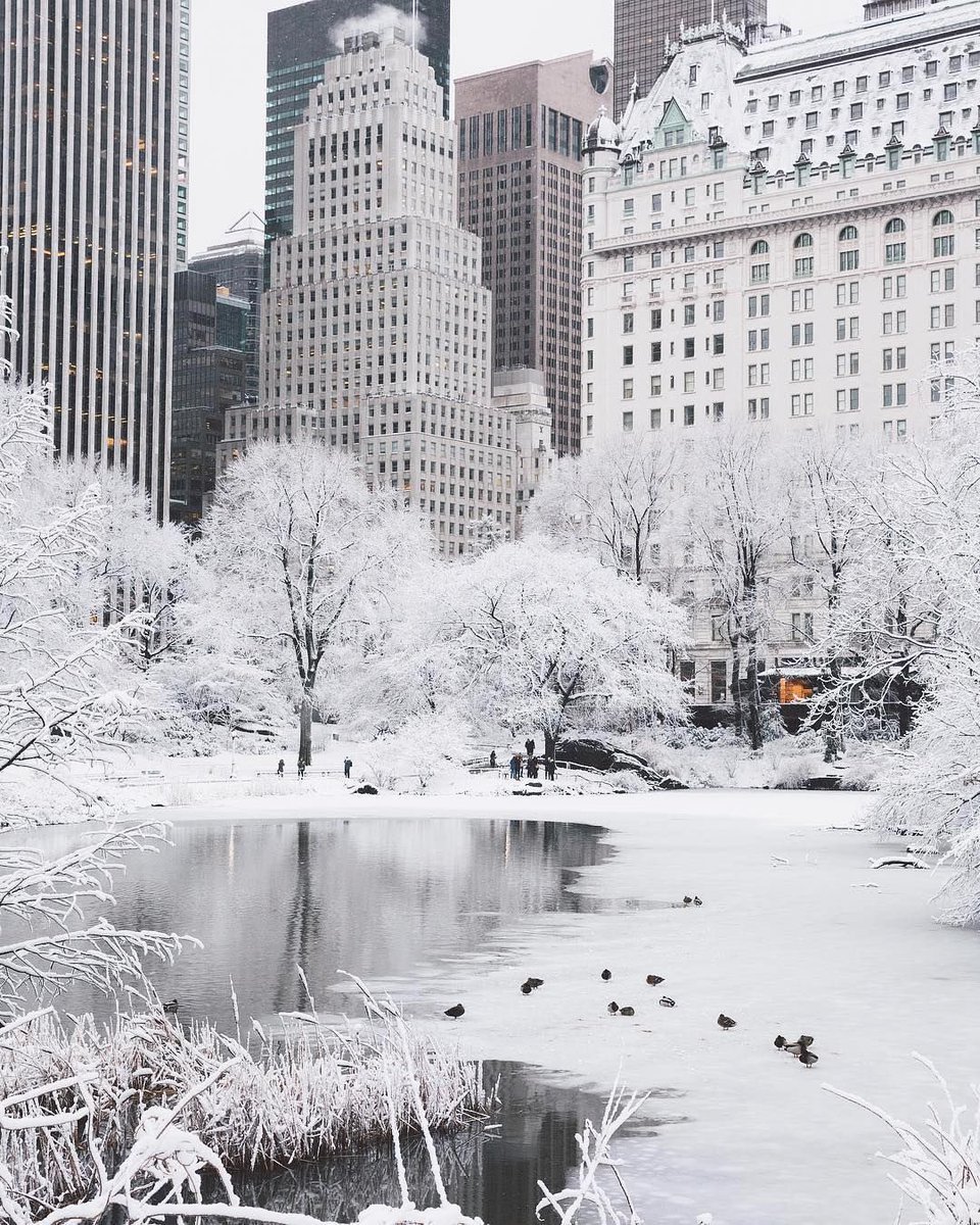 New York'ta kış ❄️      口...