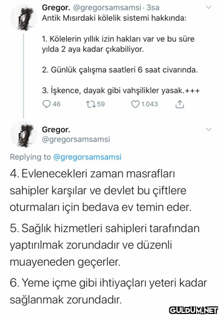 Gregor. @gregorsamsamsi -...