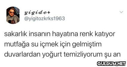 yigido+ @yigitozkrks1963...