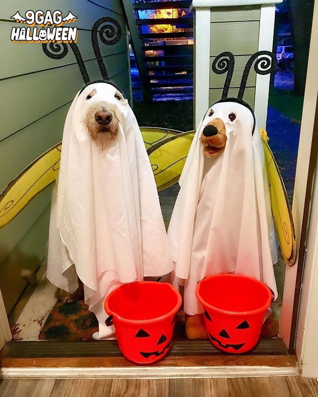 Boo! Did we spook you? 👻...