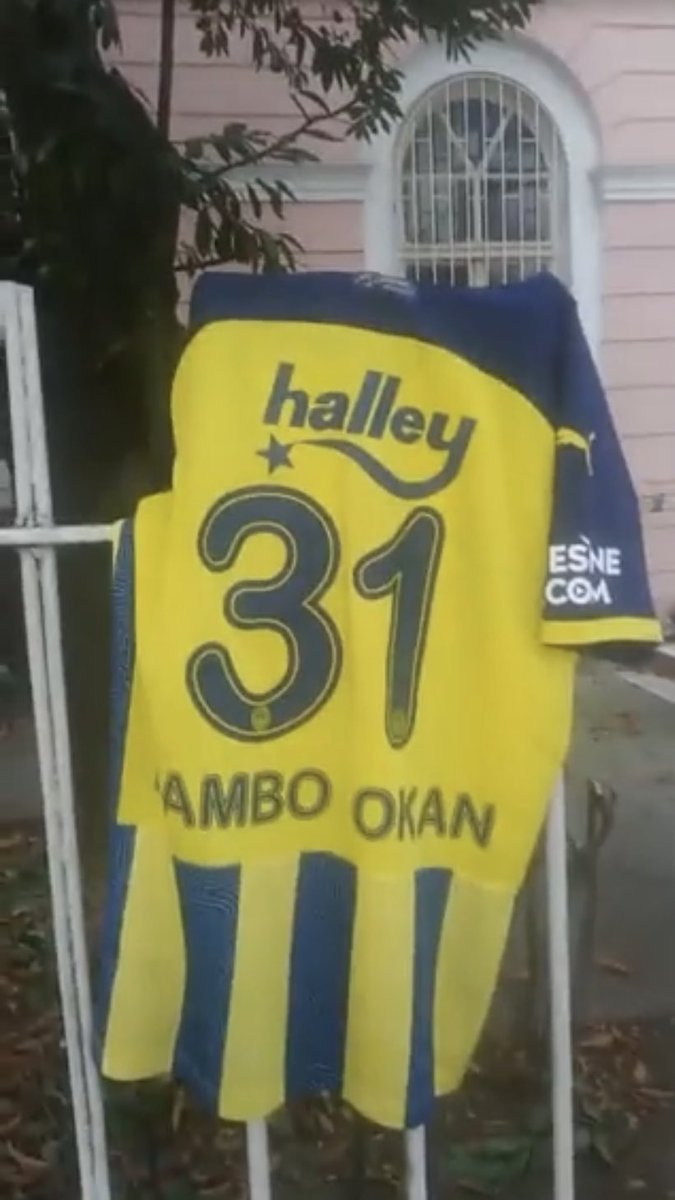 halley 31 ESNE COM AMBO...