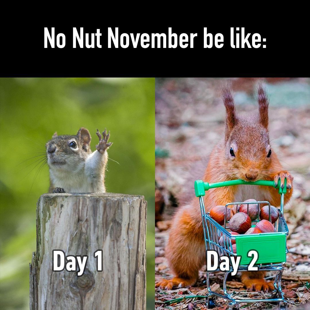 It was fun while it...