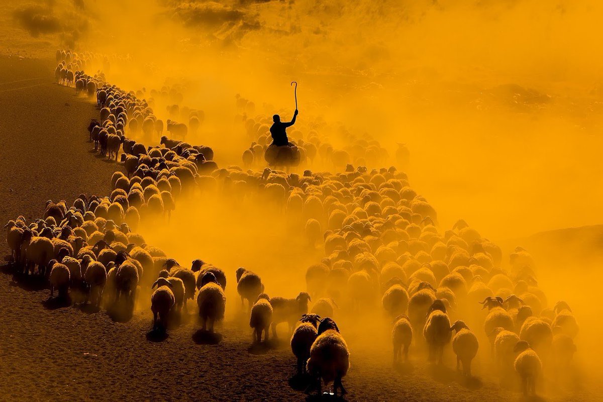 📸 National Geographic’te...