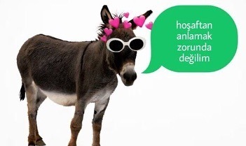 Mizah şöleni  Kaynak