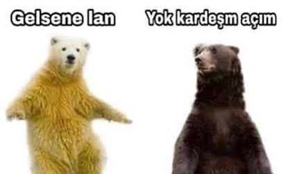 Mizah şöleni  Kaynak