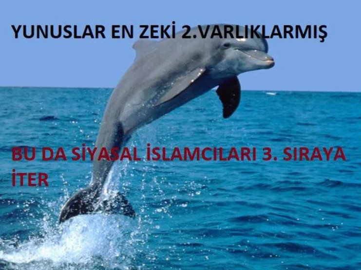 YUNUSLAR EN ZEKİ...