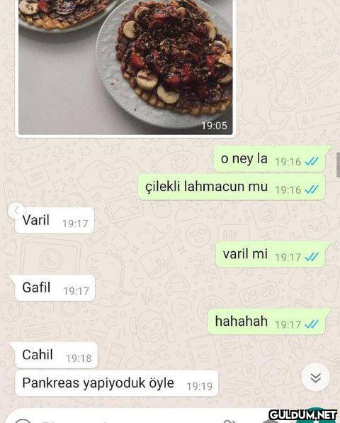 Hahhshdhshshhs    Amacı...