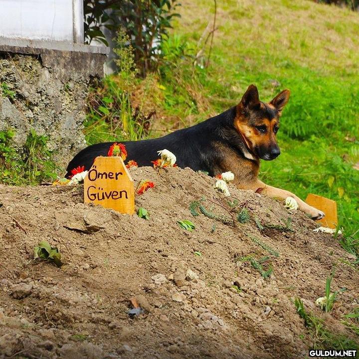 Trabzon’da 4 gün önce...